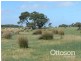 331 Boomaroo Park Road, Robe SA 5276