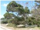 331 Boomaroo Park Road, Robe SA 5276