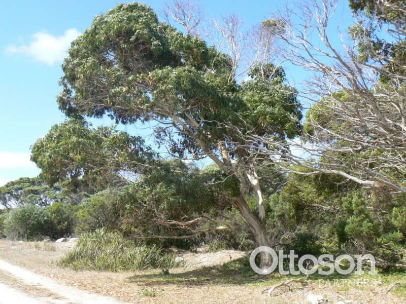 331 Boomaroo Park Road, Robe SA 5276