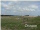 331 Boomaroo Park Road, Robe SA 5276