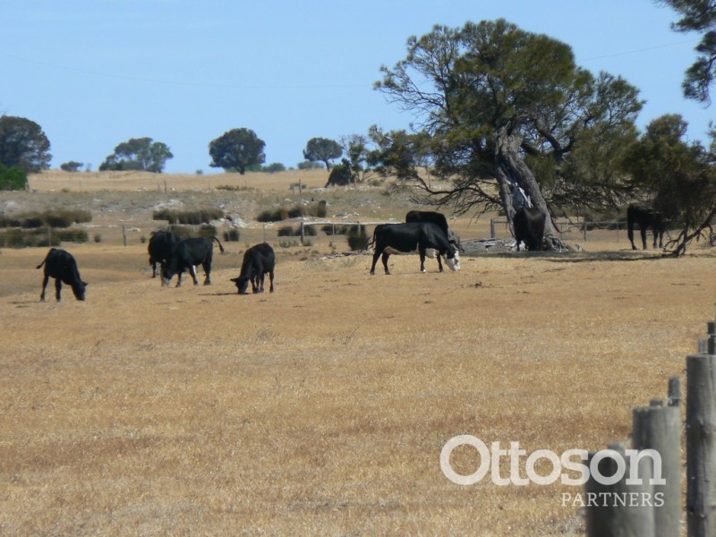 331 Boomaroo Park Road, Robe SA 5276