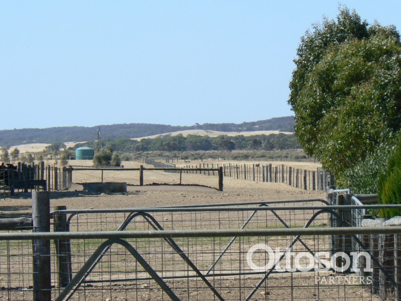 331 Boomaroo Park Road, Robe SA 5276