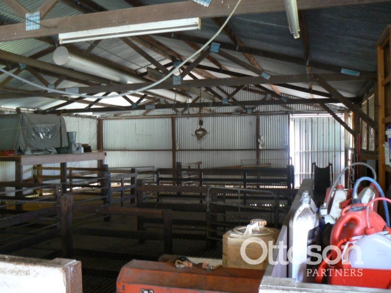 331 Boomaroo Park Road, Robe SA 5276