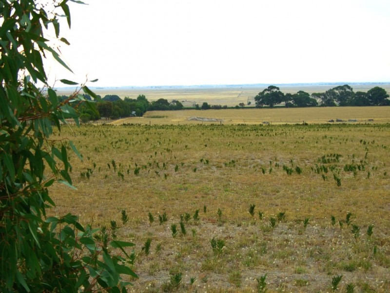 Lot 20 Cedar Avenue, Naracoorte SA 5271