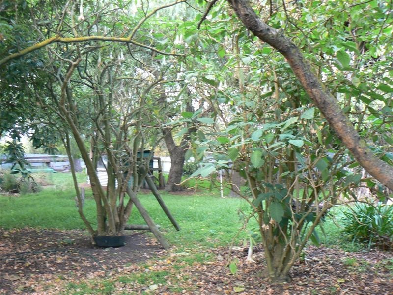 72 Williams Road, Millicent SA 5280