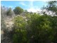 17 McArthur Place, Beachport SA 5280