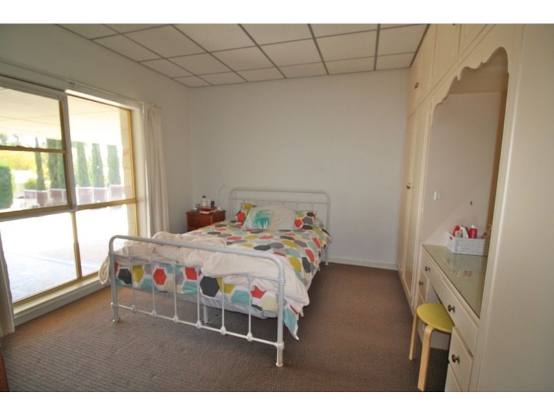 19 Foster Street, Naracoorte SA 5271