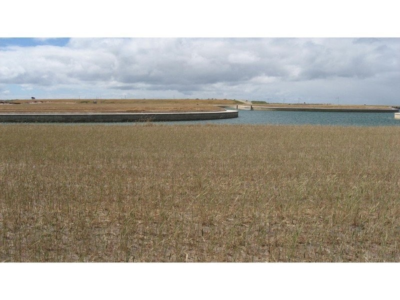 Lot 334 Rothalls Road, Cape Jaffa SA 5275