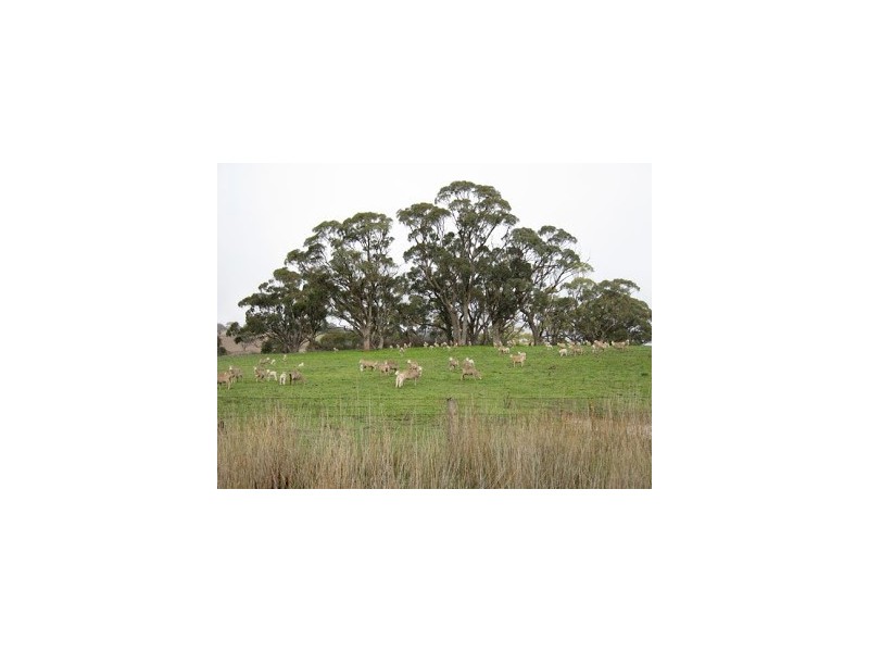Lot 106 Riddoch Hwy, Joanna SA 5271
