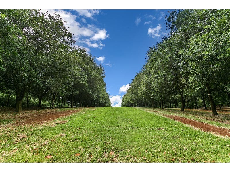 # 191 Repentance Creek Road, Rosebank NSW 2480