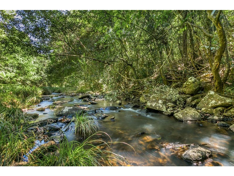 # 111 Lychee Drive, Rosebank NSW 2480