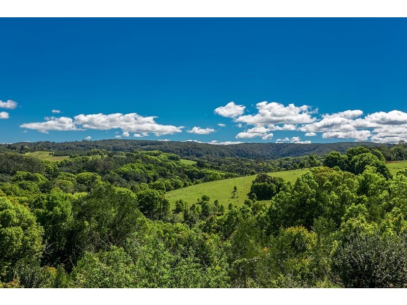 111 Lychee Drive, Rosebank NSW 2480