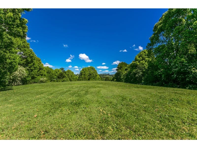 111 Lychee Drive, Rosebank NSW 2480