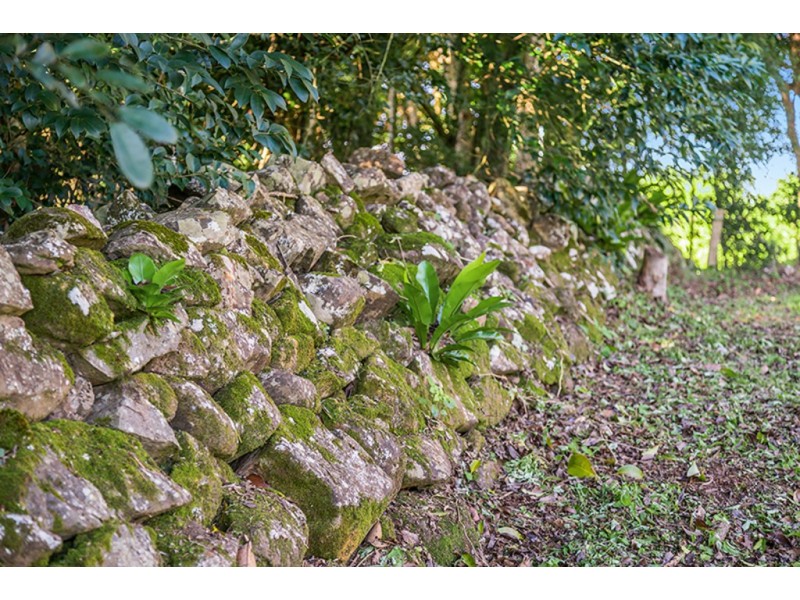 # 364 Booyong Road, Nashua NSW 2479