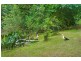 # 7 Tinderbox Road, Bangalow NSW 2479