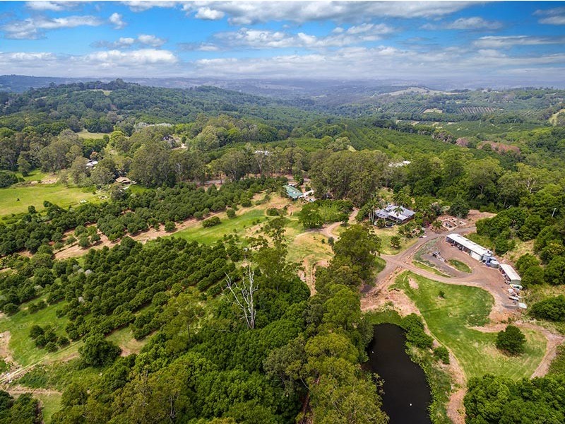 191 REPENTANCE CREEK ROAD, Rosebank NSW 2480
