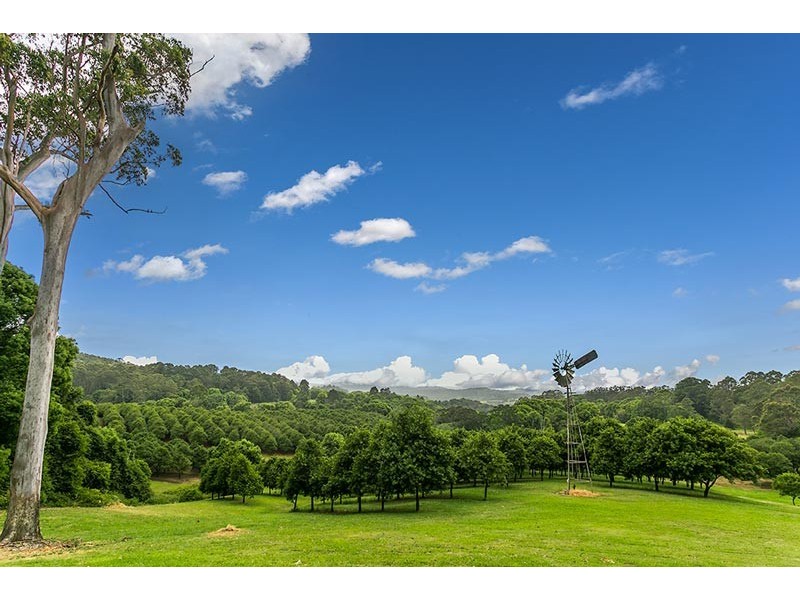 191 REPENTANCE CREEK ROAD, Rosebank NSW 2480