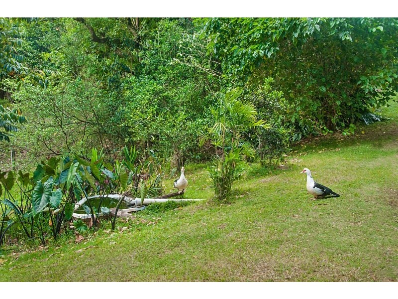 7 Tinderbox Road, Bangalow NSW 2479