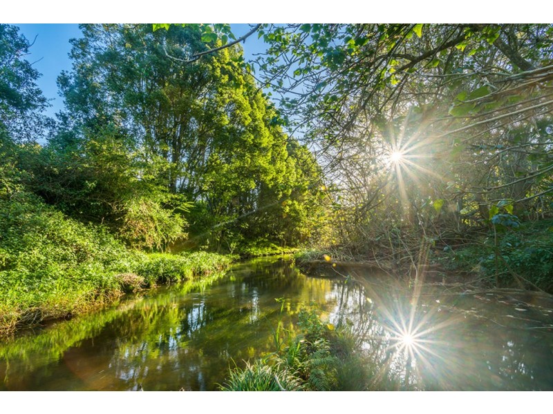 851 Bangalow Road, Talofa NSW 2481