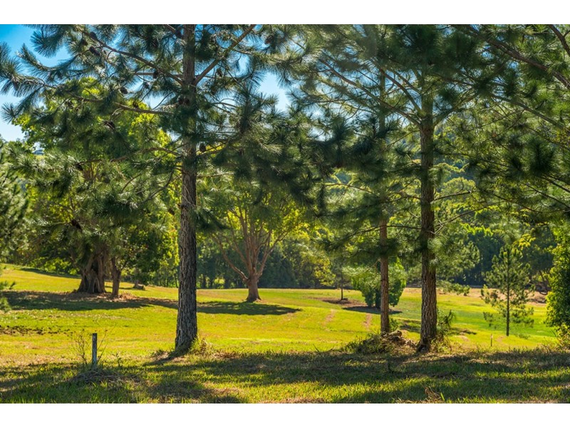 Stage 1 Fowlers Lane – Sunsets of Bangalow, Bangalow NSW 2479