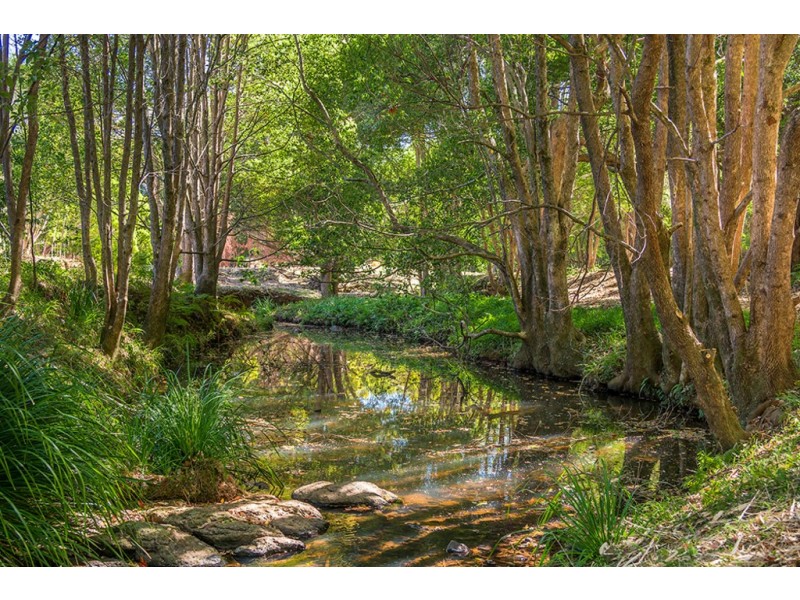 Stage 1 Fowlers Lane – Sunsets of Bangalow, Bangalow NSW 2479