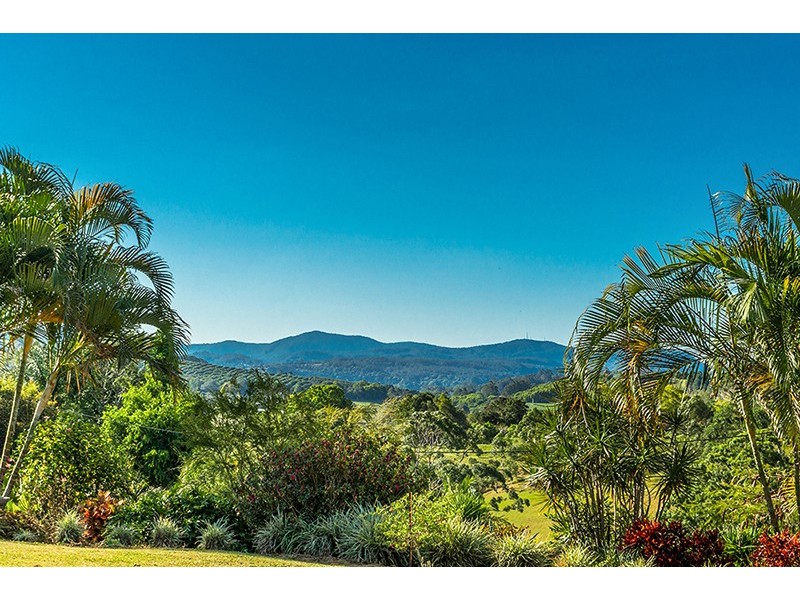 67 Barrys Road, Modanville NSW 2480