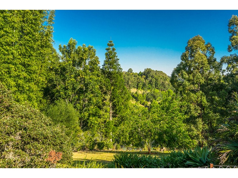 67 Barrys Road, Modanville NSW 2480
