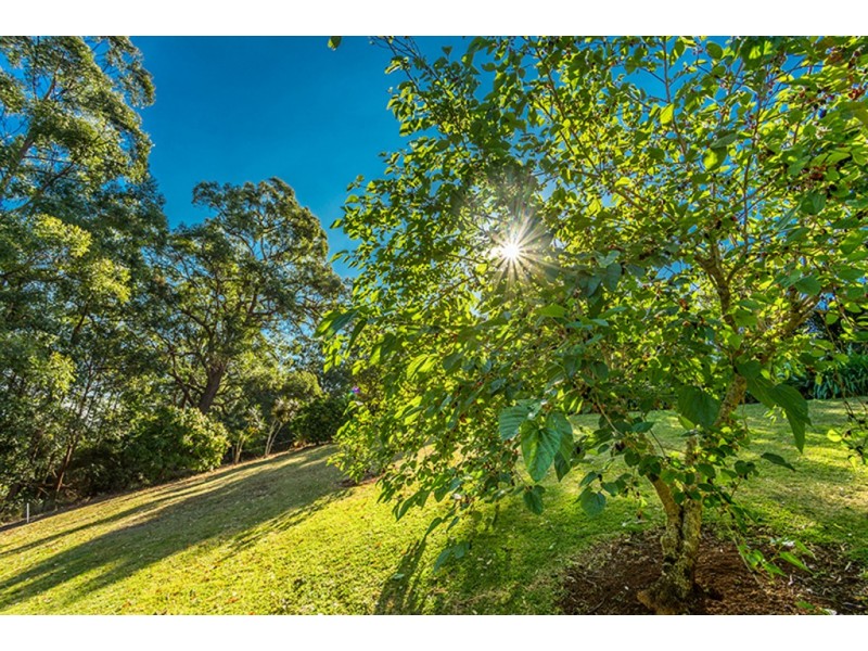 67 Barrys Road, Modanville NSW 2480