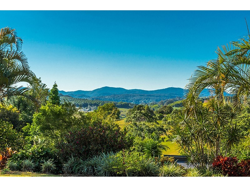67 Barrys Road, Modanville NSW 2480