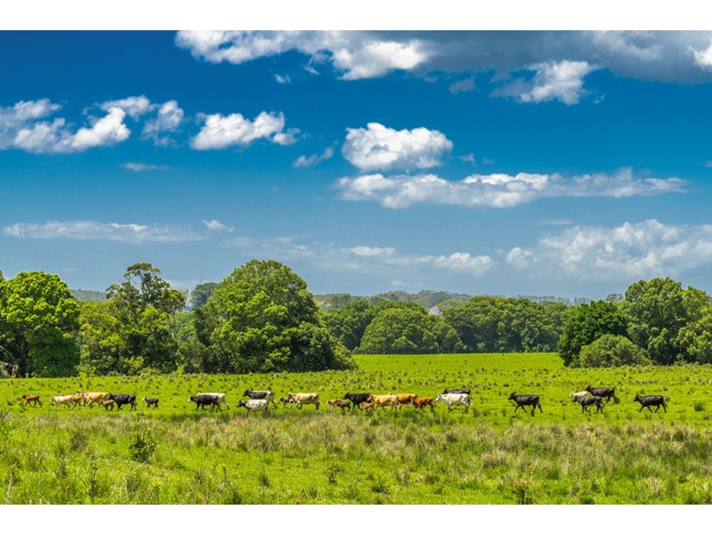 1545 Bangalow Road, Clunes NSW 2480