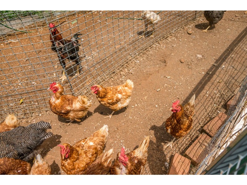 10 Old Pacific Highway, Newrybar NSW 2479