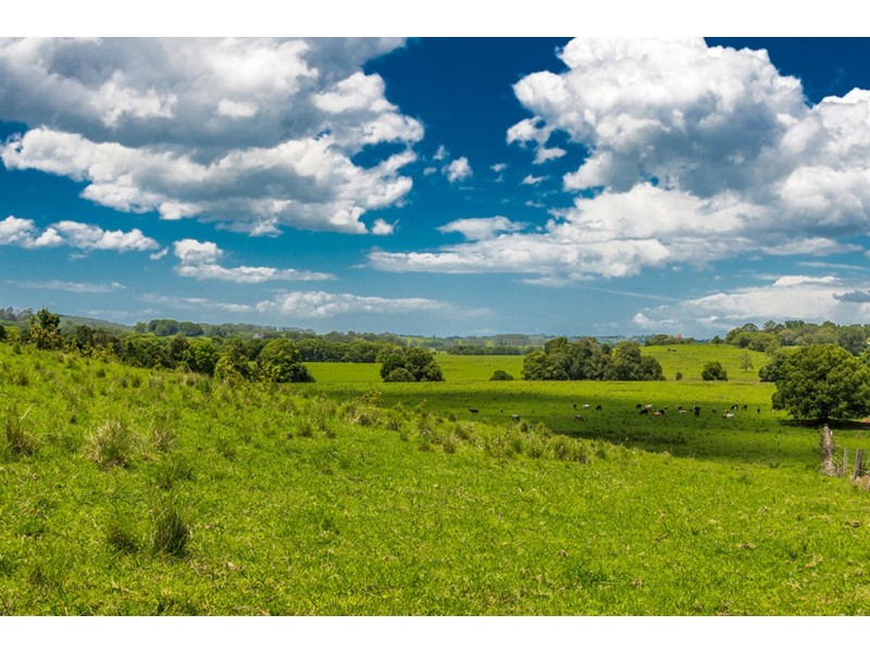 1545 Bangalow Road, Clunes NSW 2480