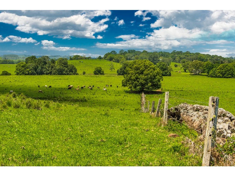 1545 Bangalow Road, Clunes NSW 2480