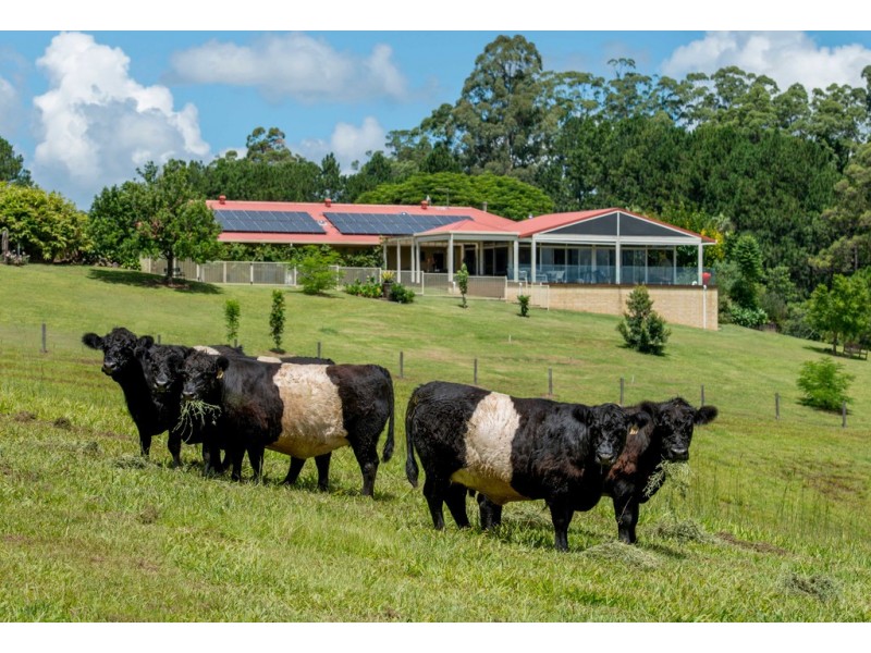 24 James Street, Dunoon NSW 2480