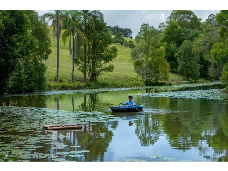 24 James Street, Dunoon NSW 2480