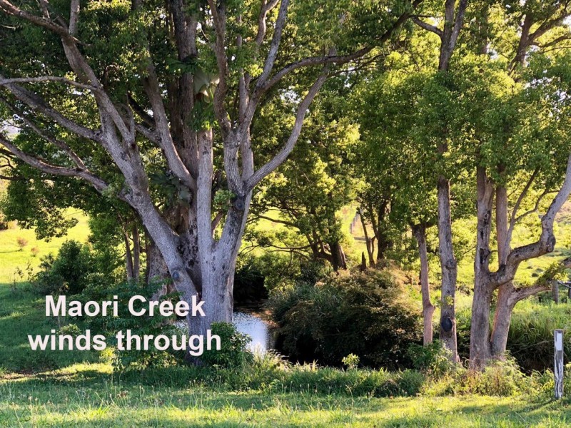 52 Parrot Tree Place, Bangalow NSW 2479