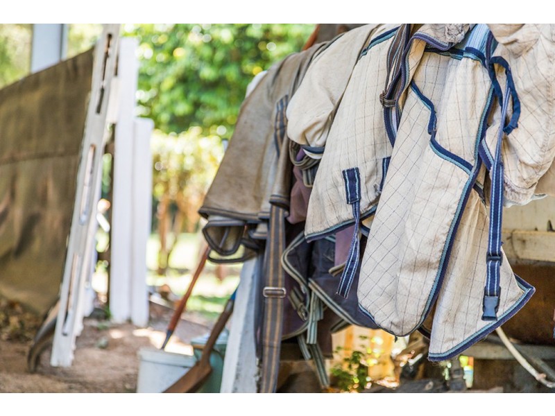 246 Woodford Lane, Ewingsdale NSW 2481