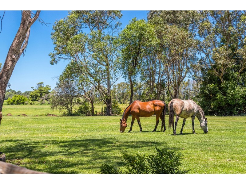 246 Woodford Lane, Ewingsdale NSW 2481