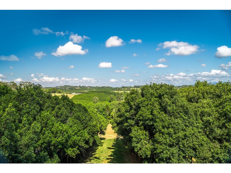 179 Old Byron Bay Road, Newrybar NSW 2479