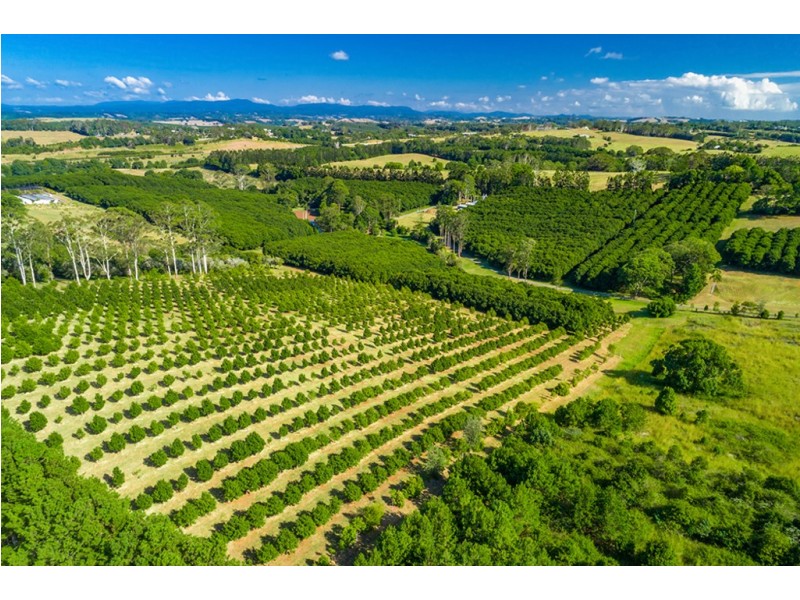 179 Old Byron Bay Road, Newrybar NSW 2479