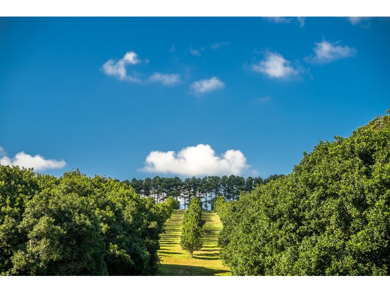 179 Old Byron Bay Road, Newrybar NSW 2479