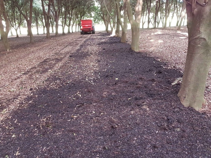 179 Old Byron Bay Road, Newrybar NSW 2479