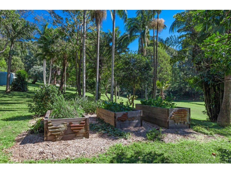 4 Macadamia Lane, Federal NSW 2480