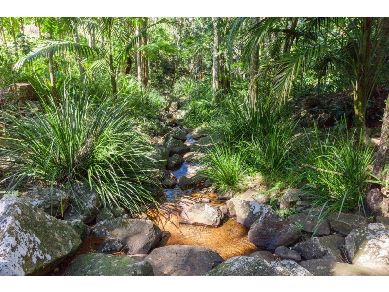 4 Macadamia Lane, Federal NSW 2480