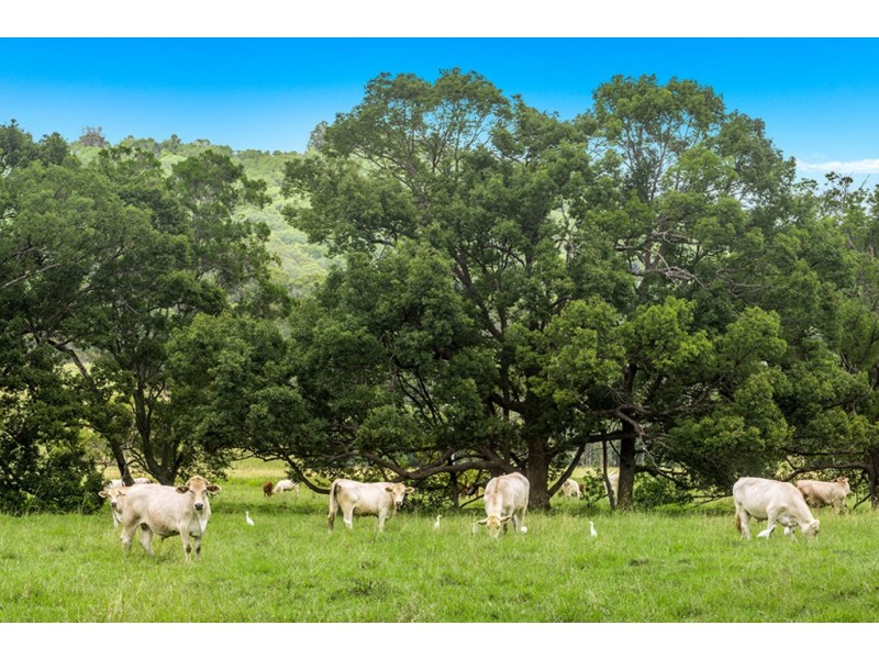 209 The Pocket Road, Billinudgel NSW 2483