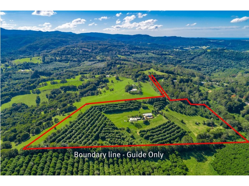 25 Byrne Road, Rosebank NSW 2480