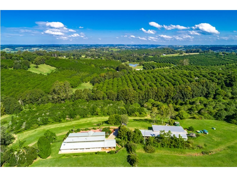 25 Byrne Road, Rosebank NSW 2480