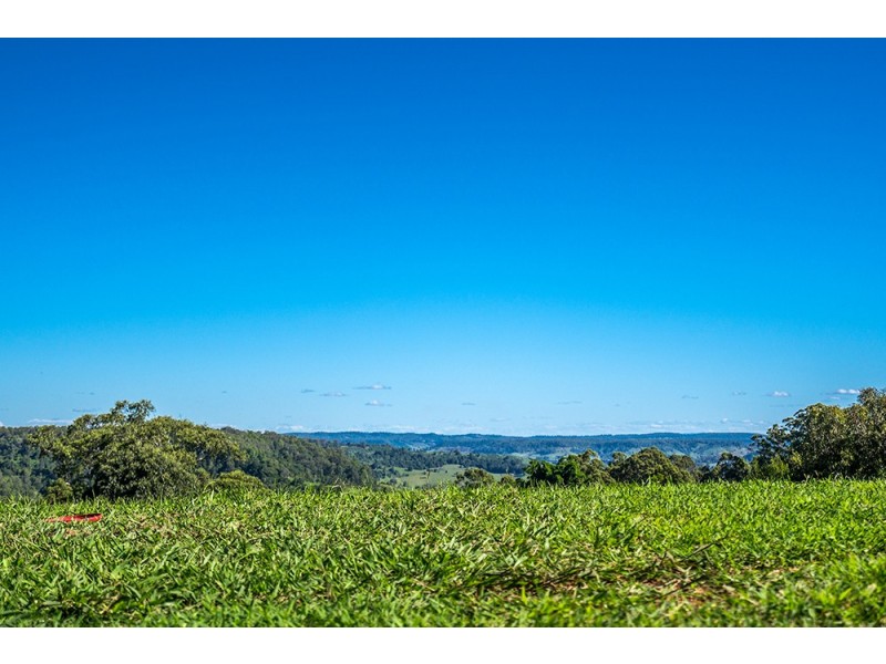 43 Funnell Drive, Modanville NSW 2480