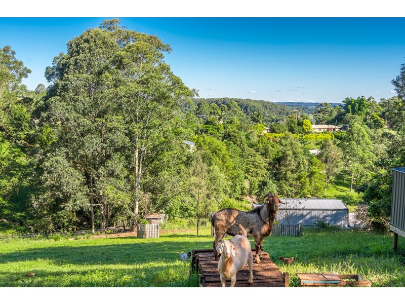 43 Funnell Drive, Modanville NSW 2480