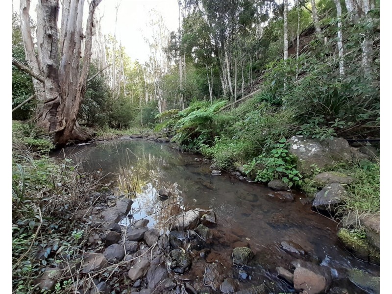 2/119 ELLIOT ROAD, Clunes NSW 2480